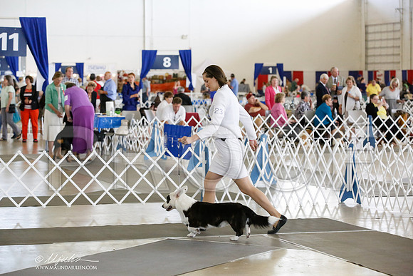 _CK_8045-DallasJul2014-HR3