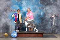 Whippet #6 Thurs RBISS Judge Pat Trotter