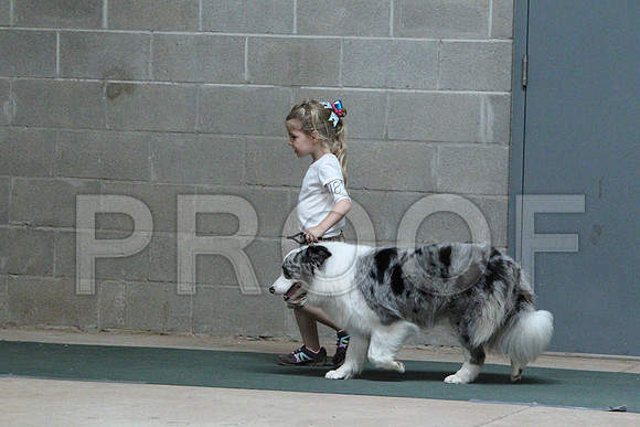 AussieCCL_3366LR