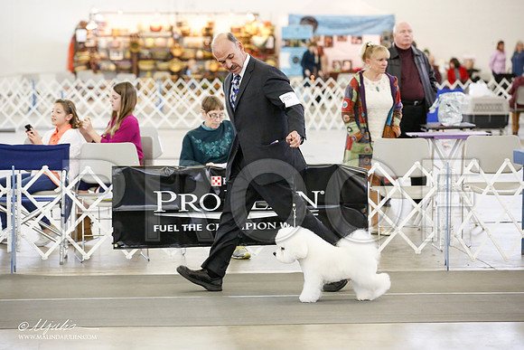 _JJ_1557-DallasDec14-HR3