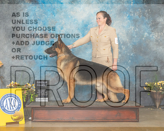 German Shepherd Dog #21 Sun G4 Judge Laurie Telfair-MMJ_1757-NWARK2022-HR3