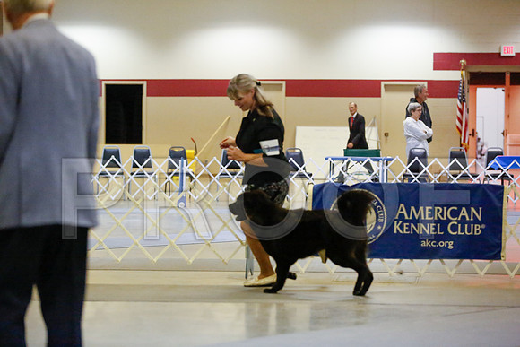 _JN_6904-AmarilloSept2014-HR3