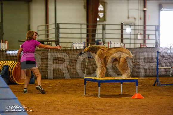 _MJ_2198-AfgBeltonOct2014-HR3