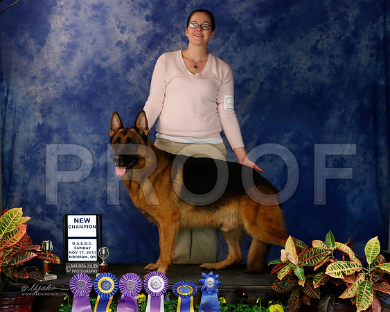 GSD-9627-NormNov13-HR