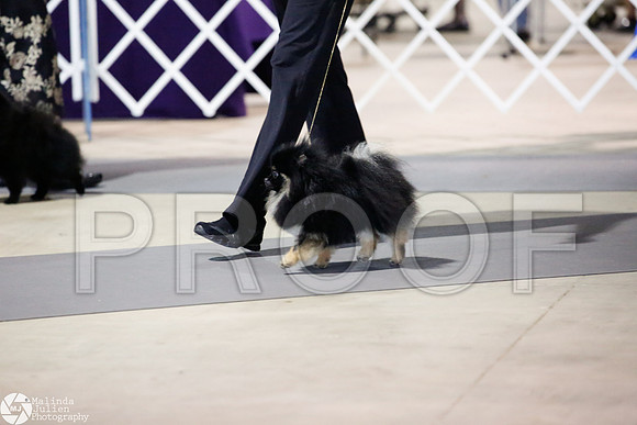 _JJ_4122-SanAntonioJul2014-HR