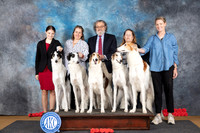 Borzoi Family Photo Sat