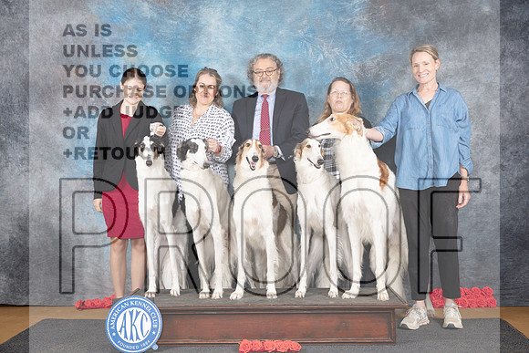 Borzoi Family Photo Sat__JP_0020_Sulphur Springs_2024_HR3