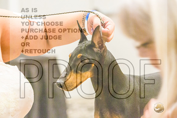 Manchester Terrier MTOY Candids-JJL_2019-Hstn2022_HR3