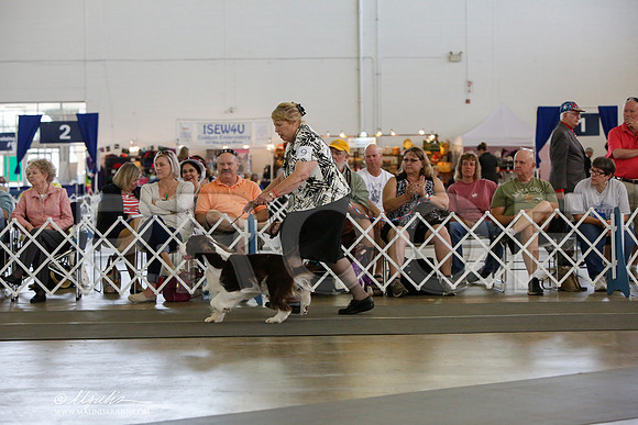 _JJ_1391-DallasJul2014-HR3