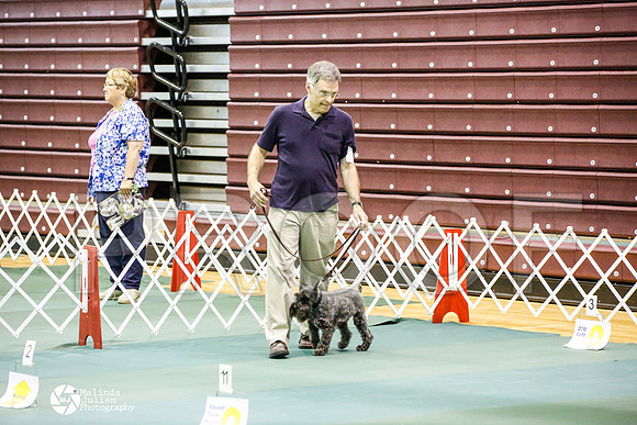 _JJ_4751-BsrCtyJun2014-HR3