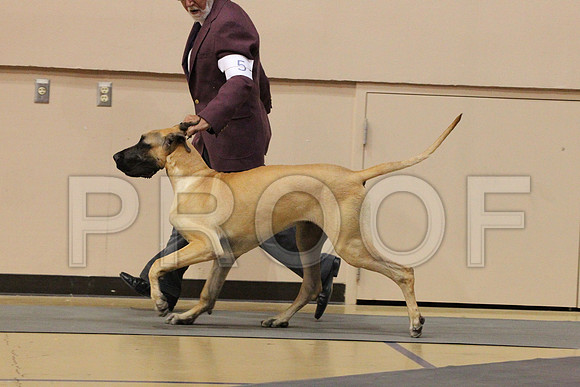 MJS_3282