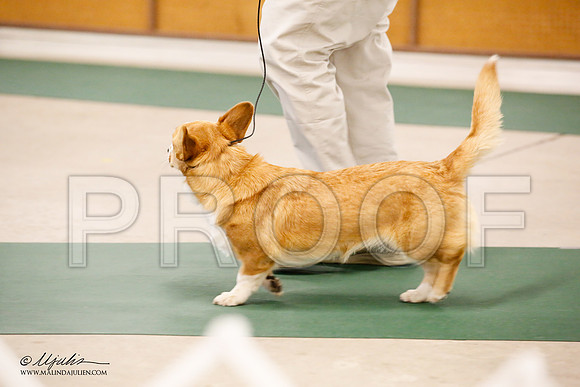 _JN_9843-NrmnNov2014-HR3