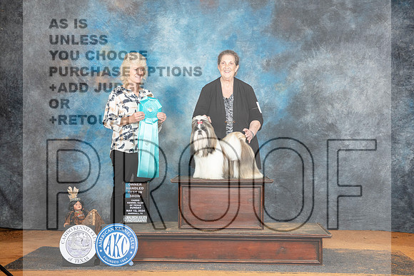 Shih Tzu #8 Sun OHBIS Judge Lisa Graser__JP_8973_MARSHALL_2024_HR3