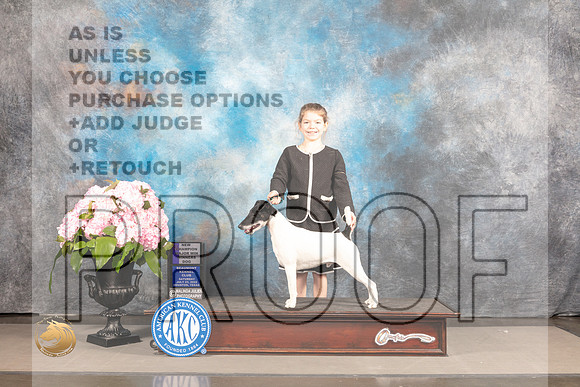 Smooth Fox Terrier #11 Sat WD Judge Barbara Alderman_MJ_7343_Houston_2022_HR3