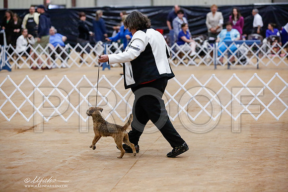 _HR_4169-TxArJun2014-HR3