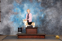 Pembroke Welsh Corgi #388 Sat BOB Judge Jennifer Landers