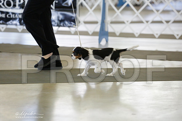 _RH_0584-DallasJul2014-HR3
