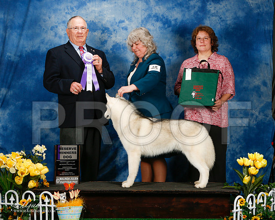 _ST_4195-2-AddisonHuskyMar2015-HR3