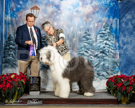 _ST_9337-DallasDec2014-HR3