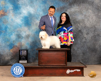 Coton #9 Sat BOWWD Judge Joan Liebes