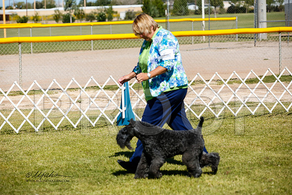 _JJ_3347-AlamogordoOct2014-HR3