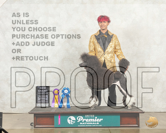 Poodle Std MC #417 NGr__MJ_9245_Premier_2022_HR3