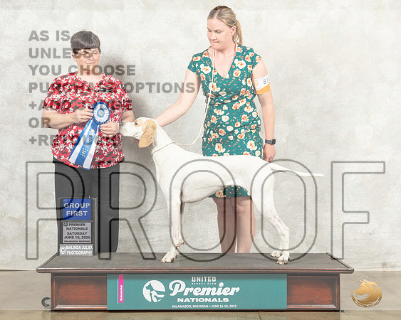 Pointer #816 Sat G1 Judge Linda Reece__MJ_8701_Premier_2022_HR3