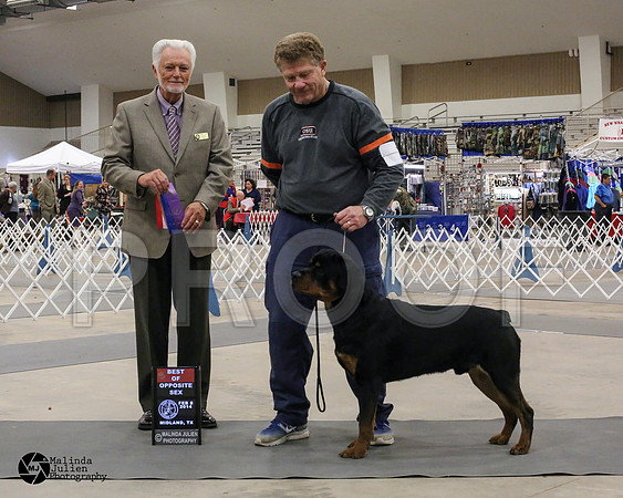 Rott-7394-MIdFeb14-HR