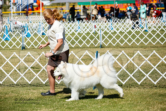 _JJ_3806-AlamogordoOct2014-HR3