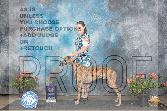 Greyhound #5 Sun BOBOHBOB Judge Christine Martinez__JP_5936_San Antonio_2024_HR3