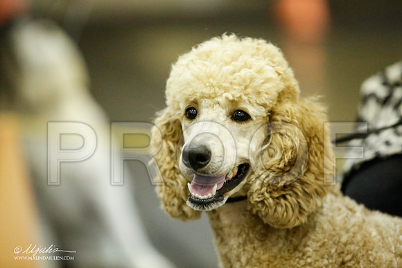_JJ_5640-BeltonJan2015IABCA-HR3