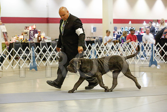 _JJ_1829-AmarilloSept2014-HR3