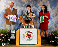 Beagle 15 #21 Fri BOW Best Puppy New Ch
