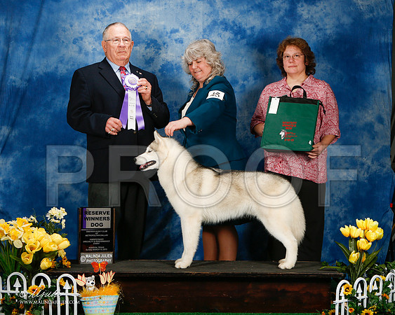 _ST_4194-2-AddisonHuskyMar2015-HR3