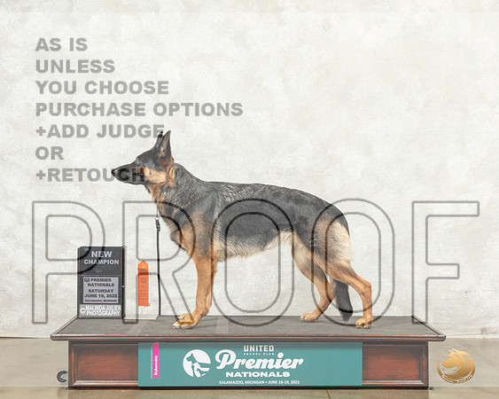 German Shepherd Dog #1149 Sat COC Judge Pamela Perdue r__MJ_8601_Premier_2022_HR3
