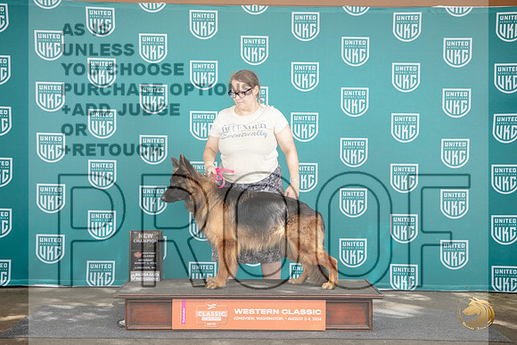 German Shepherd Dog #354 Fri BOB BM Champ BOW G2 No Judge __JP_1357_Longview WA_2024_HR3