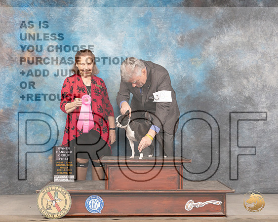 Boston Terrier #18 Fri OHG1 Judge Donnelle RichardsMMJ_3745_Mdlnd2022_HR3