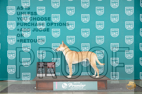 Carolina Dog # Fri G2 Judge Katherine Short__JP_2675_Premier_2024_HR3