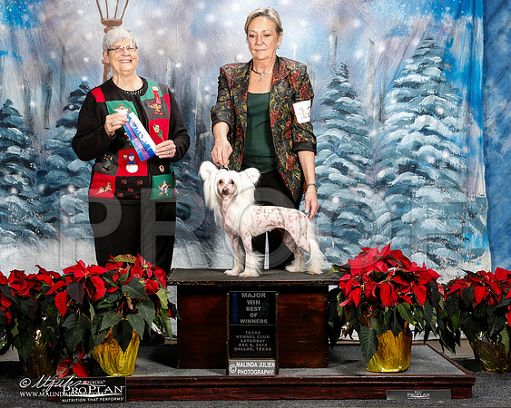_ST_8555-2-DallasDec2014-HR3