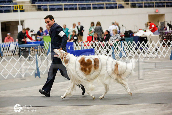 _RH_1772-AblnMay2014-web