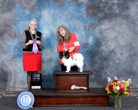 Donna Calvert Houston Toy Show 2025