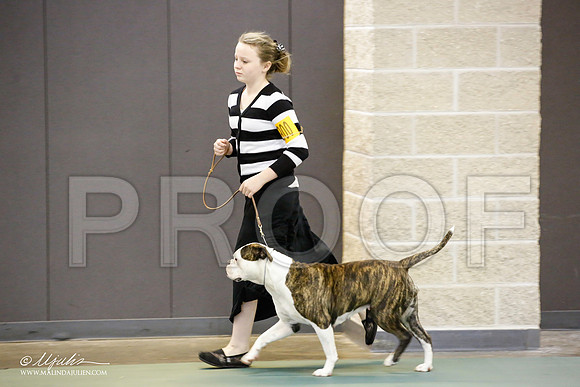 _JN_1287-BeltonJan2015-HR3
