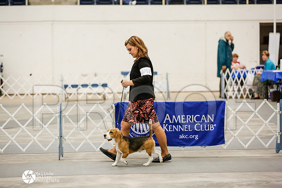 _RH_2099-AblnMay2014-web