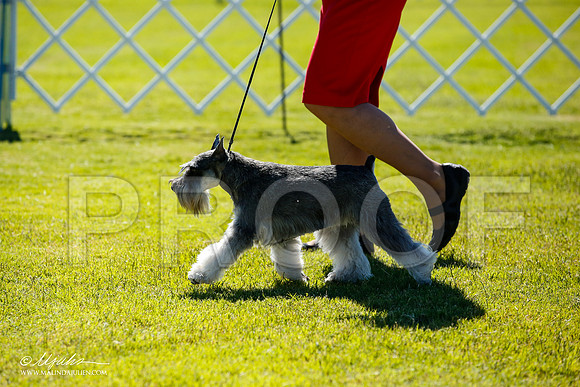 _JN_4657-AlamogordoOct2014-HR3