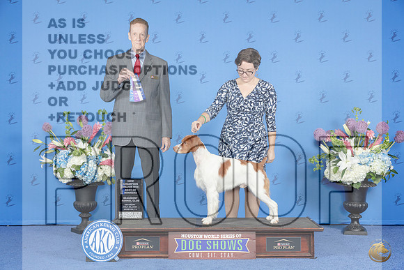 Brittany #19 SAT BOW NC M Judge Ronald Freeman__JP_9693e_Houston_2024-HR3.jpg