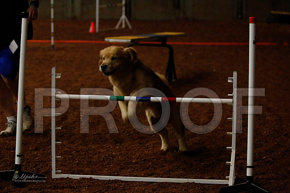 FExc24-0102-WFOct2013-HR