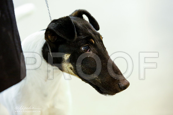 _JJ_6709-DalJul2014-HR3