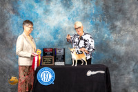 Allison Gray Houston Toy 2022