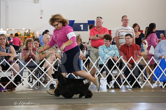 _JJ_1479-DallasJul2014-HR3