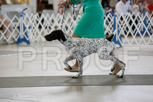 _JN_2983-DallasJul2014-HR3
